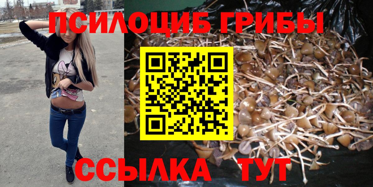 Псилоцибиновые грибы мицелий Славянск-на-Кубани
