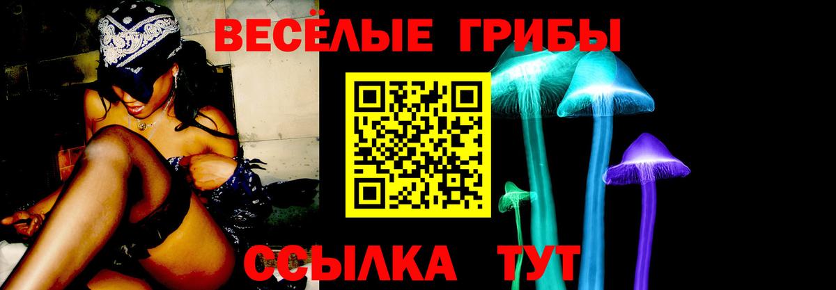 Галлюциногенные грибы Psilocybe  где купить   Славянск-на-Кубани  Вход с VPN 